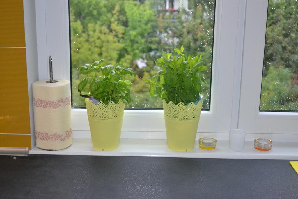 Jtb Apartament Chopina Daire Szczecin Oda fotoğraf